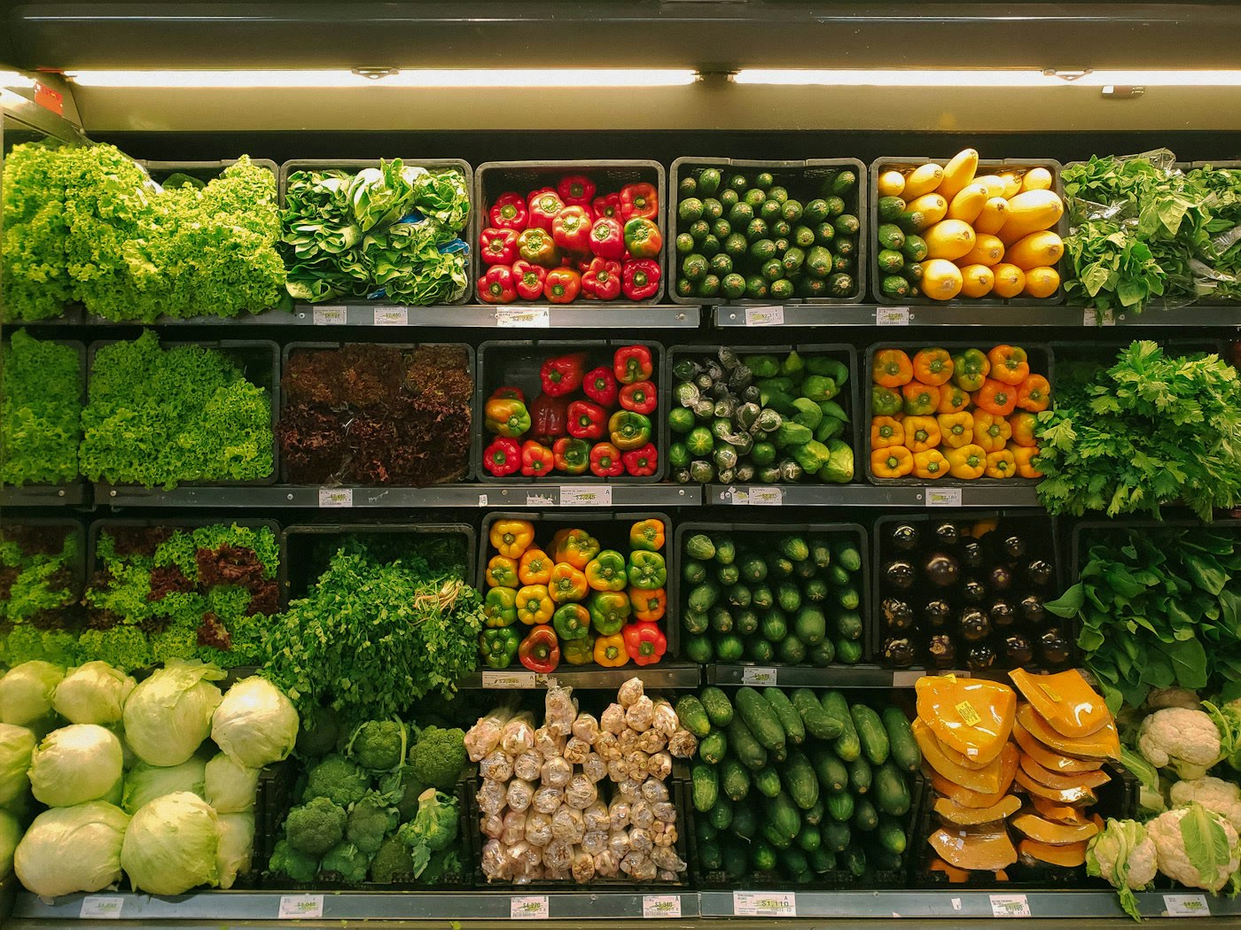 Build a Plant-Forward Week Using MyPlate (No Body-pH Claims)